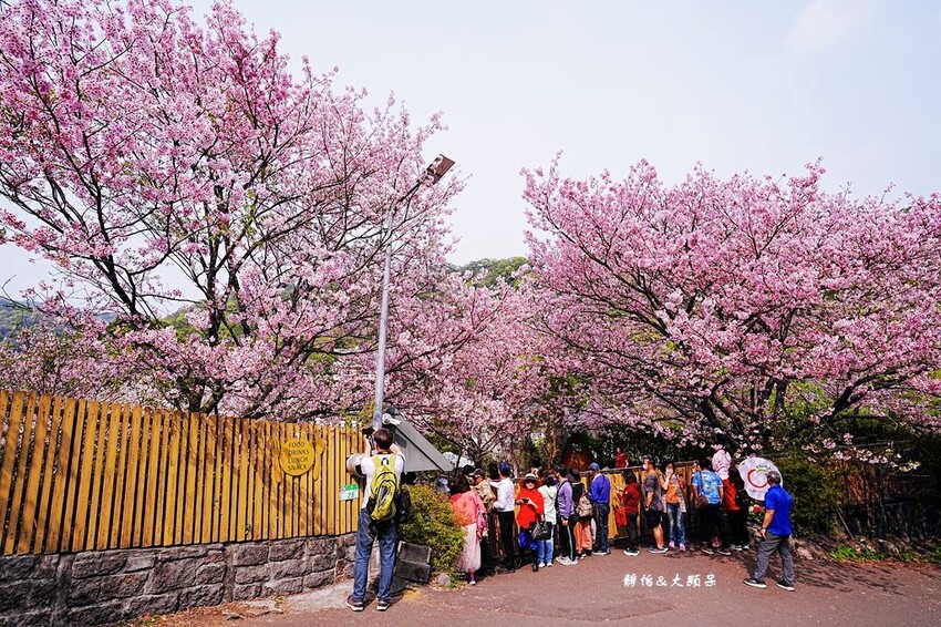 IMG_3105.JPG IMG_3105.JPG