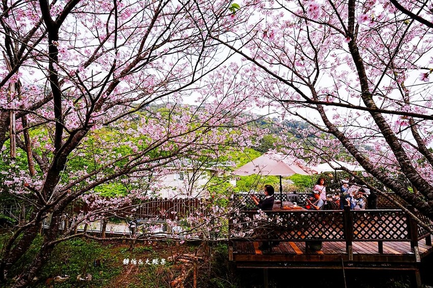 IMG_3096.JPG IMG_3096.JPG