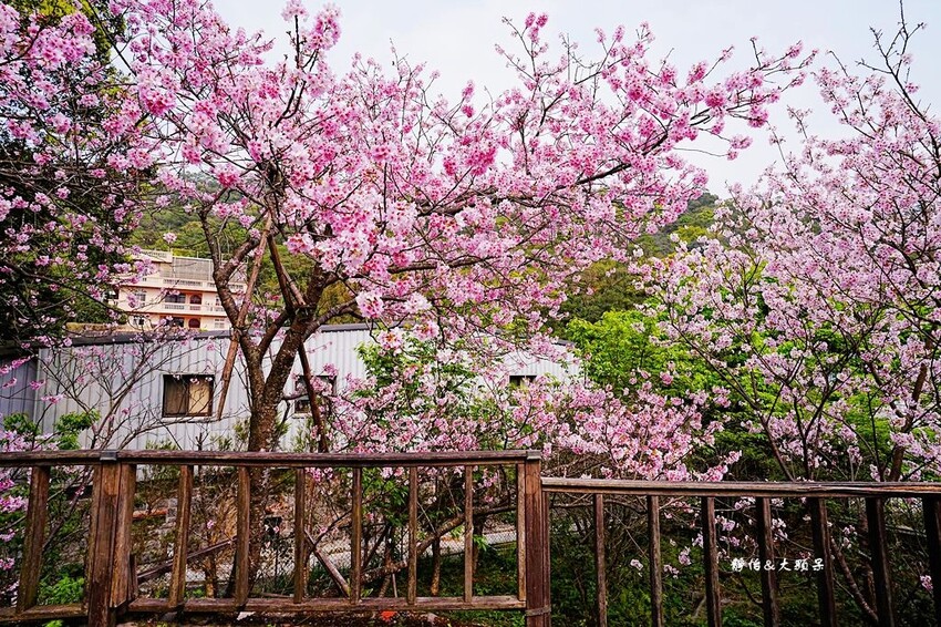 IMG_3095.JPG IMG_3095.JPG