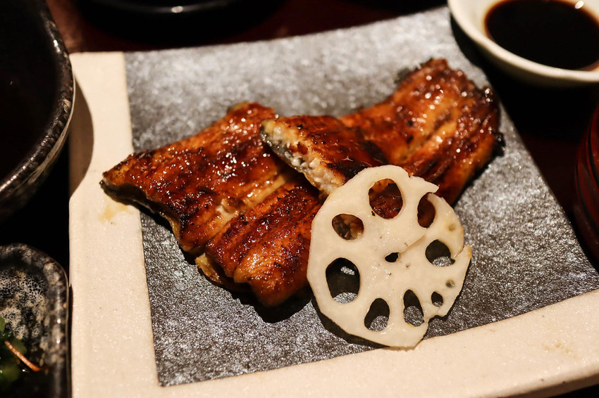 江戶川鰻魚 (17)