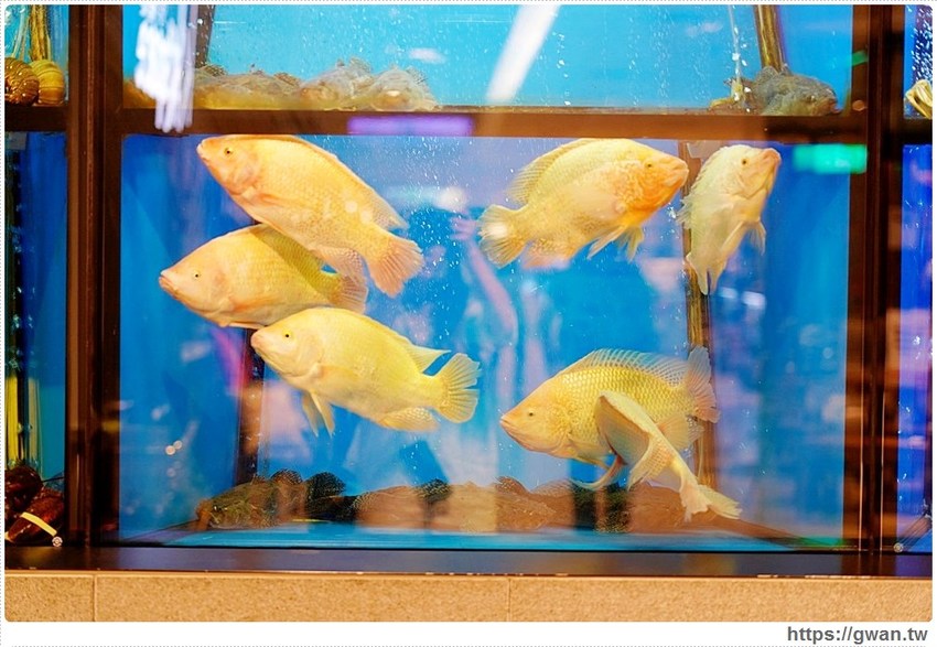 珍寶海鮮全新套餐，最低每人688就能吃到招牌菜！現在還有Ubereats外送～