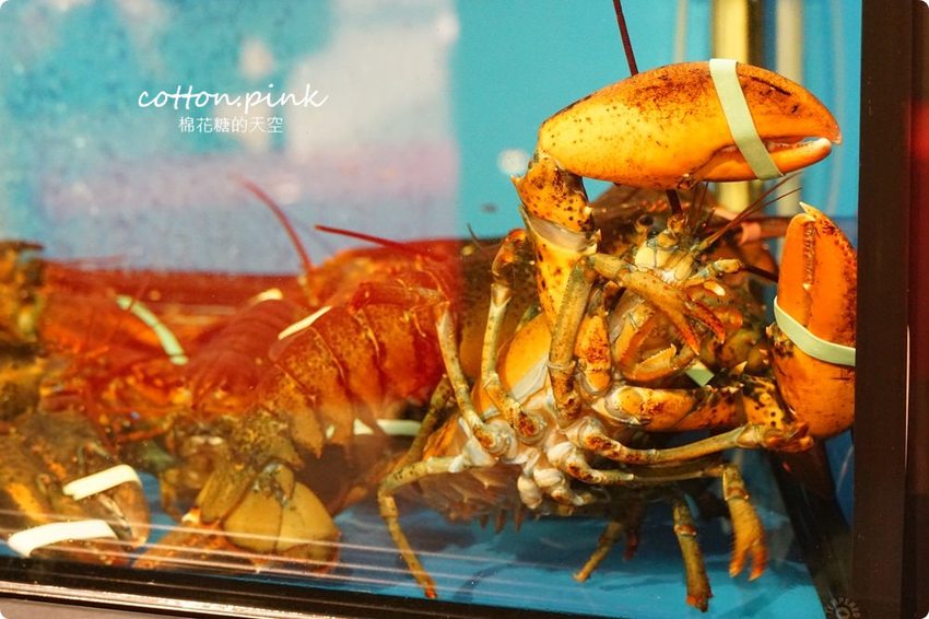 台中美食珍寶海鮮外送啦！首推香辣螃蟹新光三越必吃～最新套餐內用最低一人688元，外帶套餐899元起