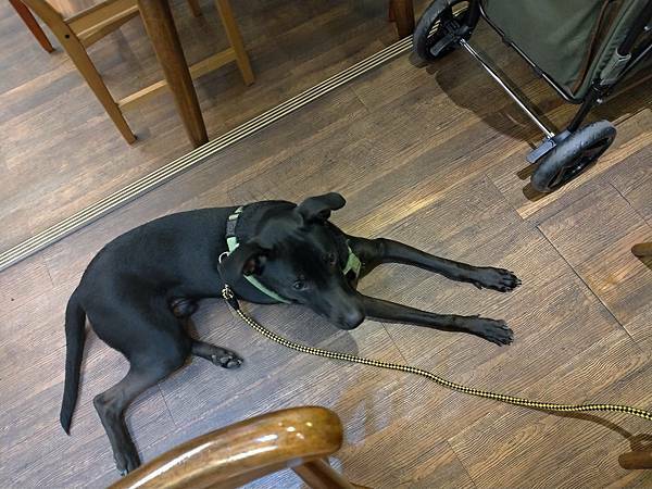 P_20210201_142642.jpg P_20210201_142642.jpg