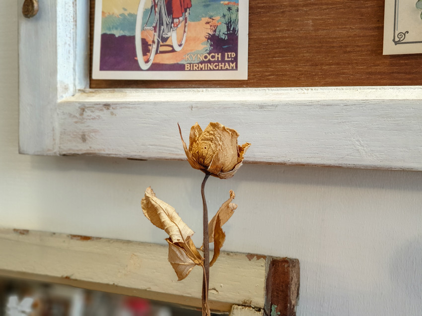 高雄美食||小麥家-老屋裡的日雜店，傳達最真實的美味餐食||新興區