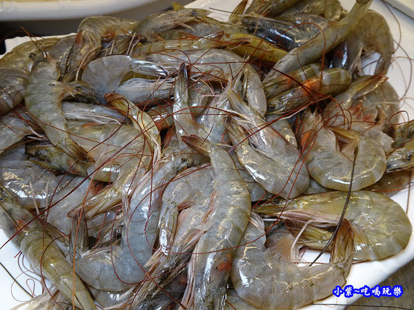 白蝦-食鮮日式火鍋吃到飽 (2).jpg