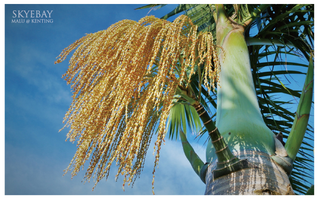 嵐翎白砂度假莊園-22