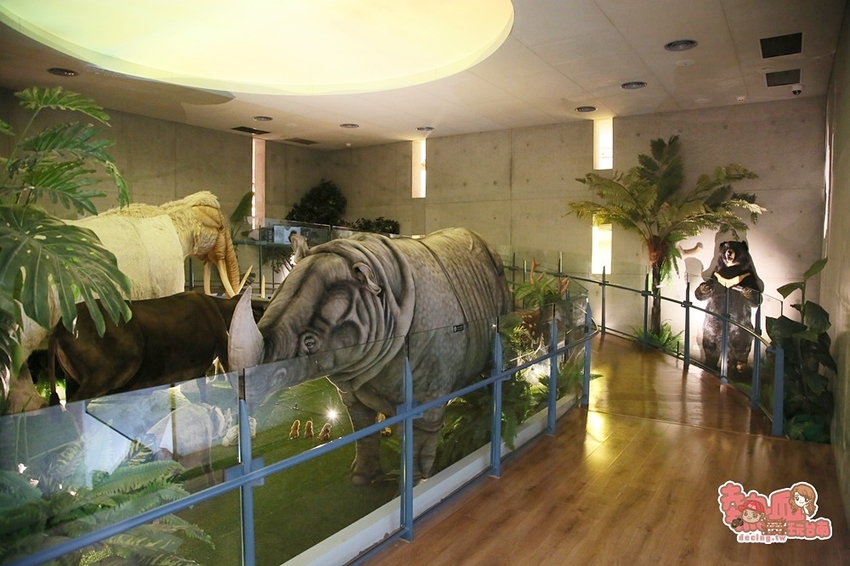 【台南景點】台南版博物館驚魂夜!小心來了你就開心到走不出去:台南左鎮化石園區 - 熱血玩台南。跳躍新世界