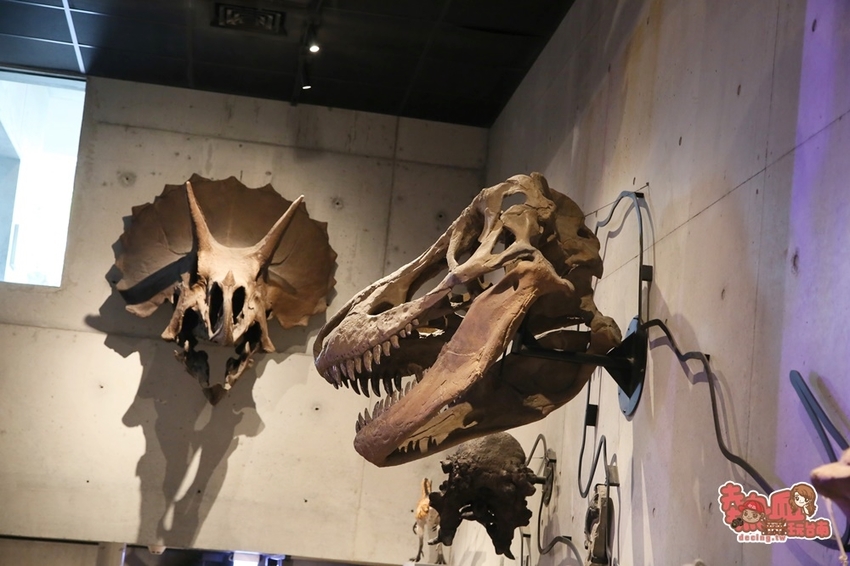 【台南景點】台南版博物館驚魂夜!小心來了你就開心到走不出去:台南左鎮化石園區 - 熱血玩台南。跳躍新世界