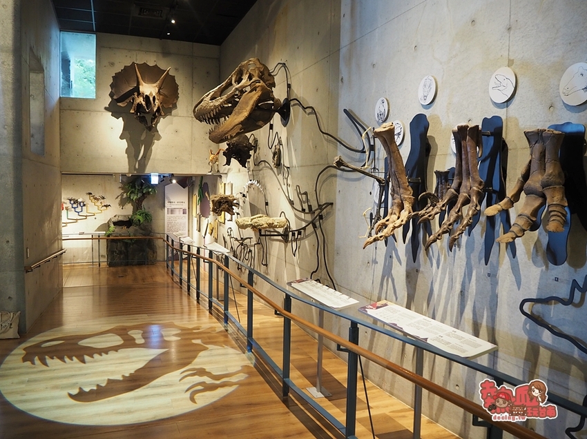 【台南景點】台南版博物館驚魂夜!小心來了你就開心到走不出去:台南左鎮化石園區 - 熱血玩台南。跳躍新世界