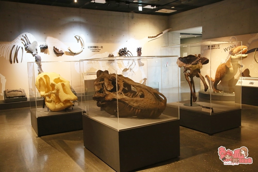 【台南景點】台南版博物館驚魂夜!小心來了你就開心到走不出去:台南左鎮化石園區 - 熱血玩台南。跳躍新世界