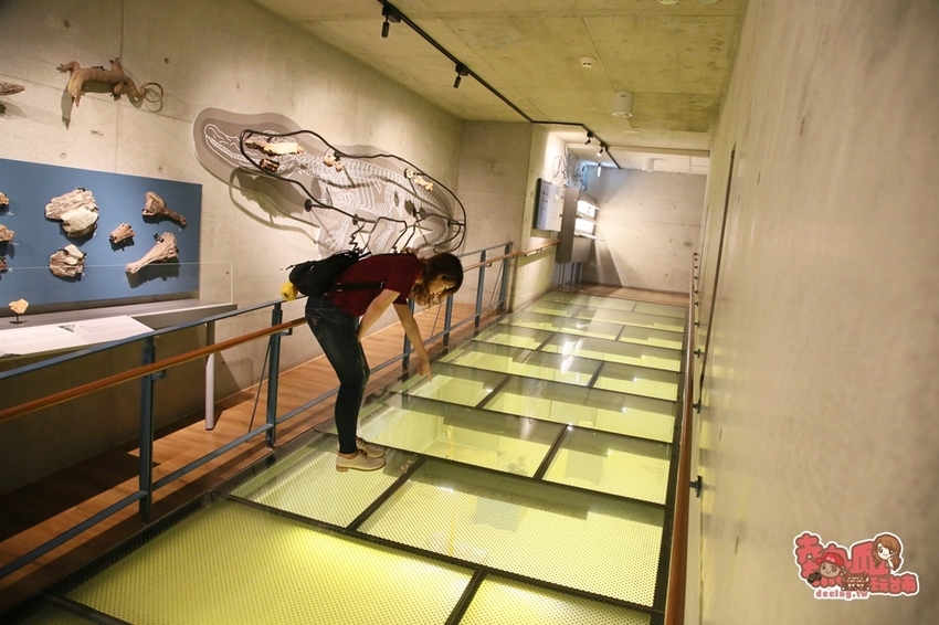 【台南景點】台南版博物館驚魂夜!小心來了你就開心到走不出去:台南左鎮化石園區 - 熱血玩台南。跳躍新世界