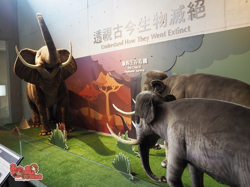 【台南景點】台南版博物館驚魂夜!小心來了你就開心到走不出去:台南左鎮化石園區 - 熱血玩台南。跳躍新世界