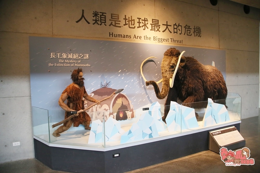 【台南景點】台南版博物館驚魂夜!小心來了你就開心到走不出去:台南左鎮化石園區 - 熱血玩台南。跳躍新世界