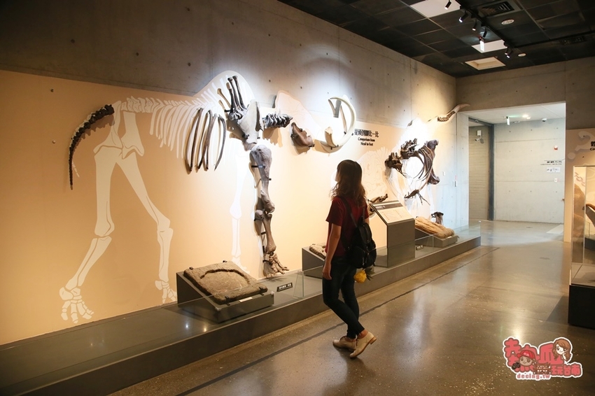 【台南景點】台南版博物館驚魂夜!小心來了你就開心到走不出去:台南左鎮化石園區 - 熱血玩台南。跳躍新世界