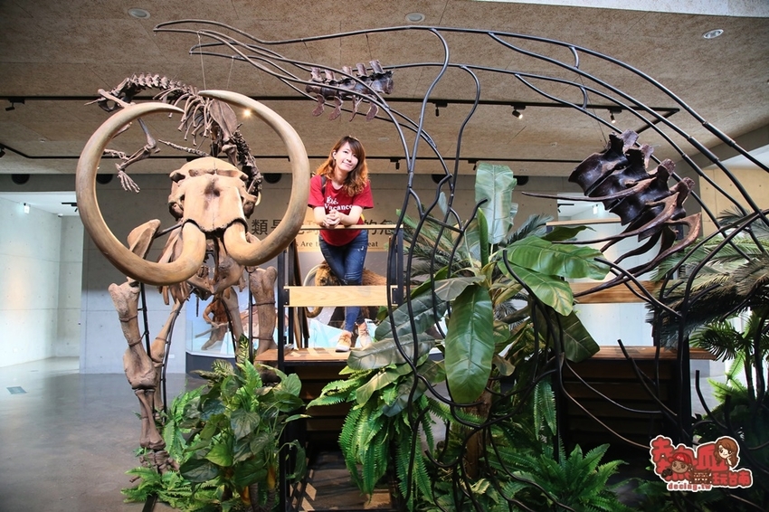 【台南景點】台南版博物館驚魂夜!小心來了你就開心到走不出去:台南左鎮化石園區 - 熱血玩台南。跳躍新世界