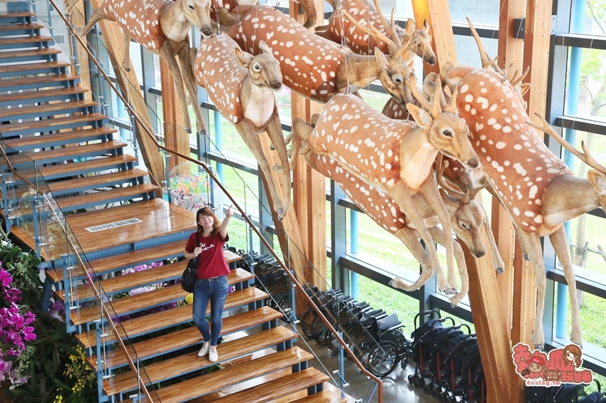 【台南景點】台南版博物館驚魂夜!小心來了你就開心到走不出去:台南左鎮化石園區 - 熱血玩台南。跳躍新世界