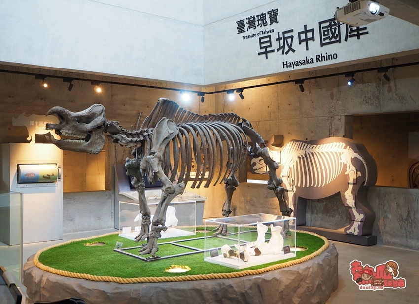 【台南景點】台南版博物館驚魂夜!小心來了你就開心到走不出去:台南左鎮化石園區 - 熱血玩台南。跳躍新世界