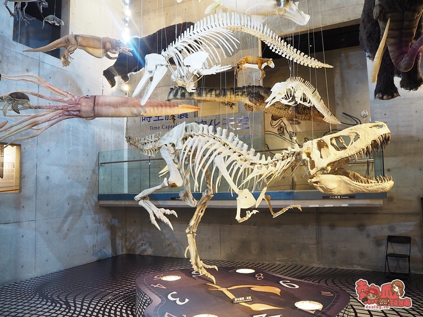 【台南景點】台南版博物館驚魂夜!小心來了你就開心到走不出去:台南左鎮化石園區 - 熱血玩台南。跳躍新世界