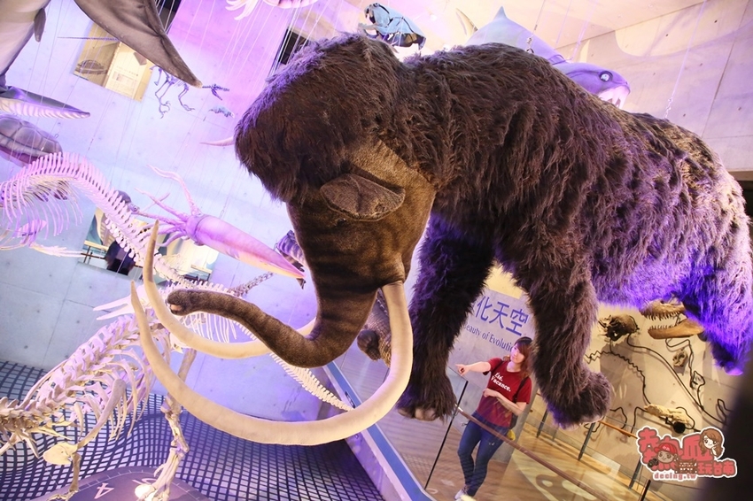 【台南景點】台南版博物館驚魂夜!小心來了你就開心到走不出去:台南左鎮化石園區 - 熱血玩台南。跳躍新世界