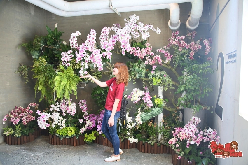 【台南景點】台南版博物館驚魂夜!小心來了你就開心到走不出去:台南左鎮化石園區 - 熱血玩台南。跳躍新世界