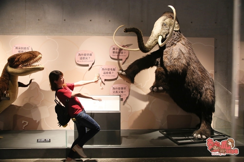 【台南景點】台南版博物館驚魂夜!小心來了你就開心到走不出去:台南左鎮化石園區 - 熱血玩台南。跳躍新世界