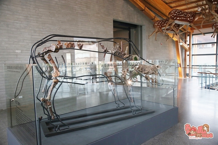 【台南景點】台南版博物館驚魂夜!小心來了你就開心到走不出去:台南左鎮化石園區 - 熱血玩台南。跳躍新世界