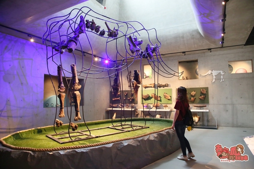 【台南景點】台南版博物館驚魂夜!小心來了你就開心到走不出去:台南左鎮化石園區 - 熱血玩台南。跳躍新世界