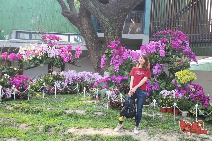 【台南景點】台南版博物館驚魂夜!小心來了你就開心到走不出去:台南左鎮化石園區 - 熱血玩台南。跳躍新世界