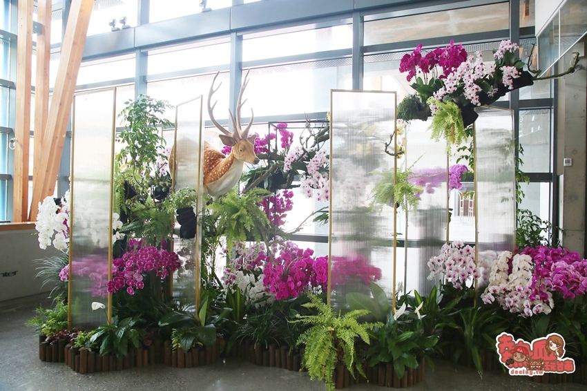 【台南景點】台南版博物館驚魂夜!小心來了你就開心到走不出去:台南左鎮化石園區 - 熱血玩台南。跳躍新世界