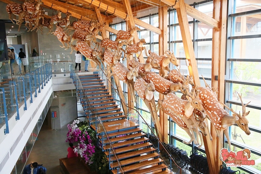 【台南景點】台南版博物館驚魂夜!小心來了你就開心到走不出去:台南左鎮化石園區 - 熱血玩台南。跳躍新世界