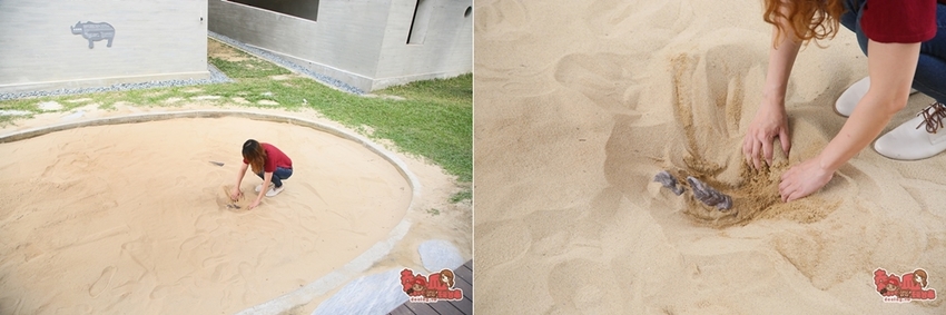 【台南景點】台南版博物館驚魂夜!小心來了你就開心到走不出去:台南左鎮化石園區 - 熱血玩台南。跳躍新世界