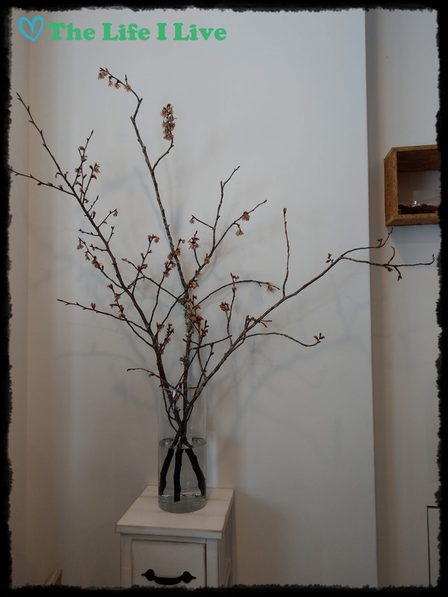 果漾果昔窩 005.jpg