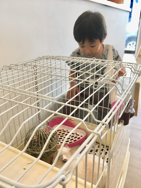 [嘉義美食] 果漾果昔窩｜甜蜜沁涼的綿密果昔，新鮮水果製成的營養好喝日系健康飲品！