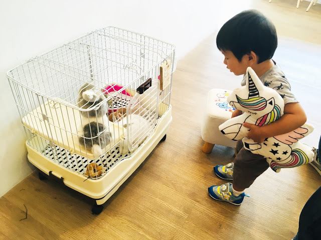 [嘉義美食] 果漾果昔窩｜甜蜜沁涼的綿密果昔，新鮮水果製成的營養好喝日系健康飲品！