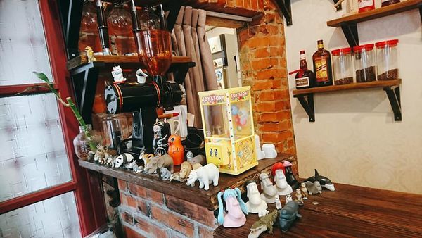 57123499_2366412946723714_4486676640180469760_n