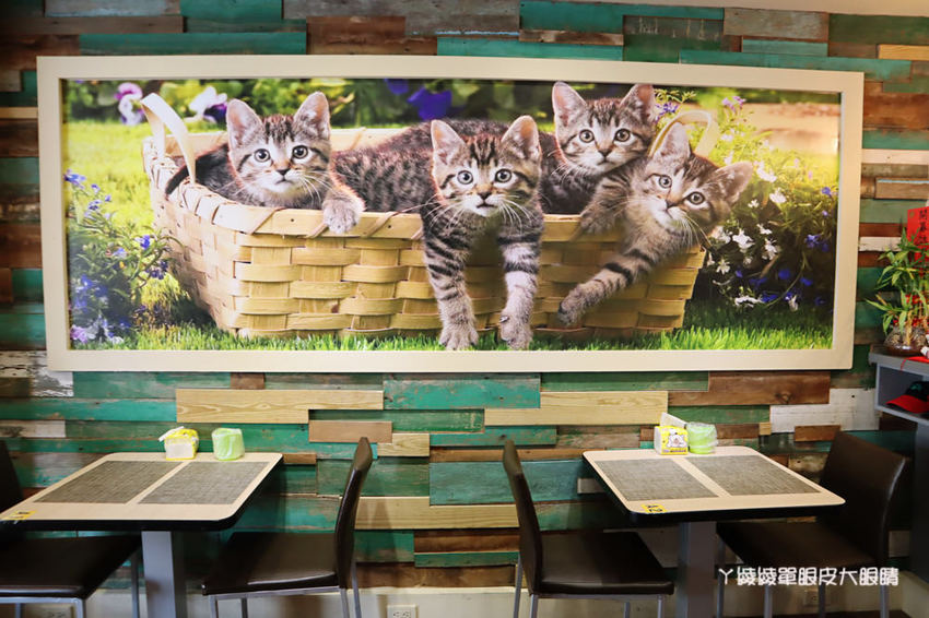 新竹竹北親子餐廳推薦流浪貓香草義式廚房，新開幕寶可夢主題美食餐廳！貓奴們快來找主子