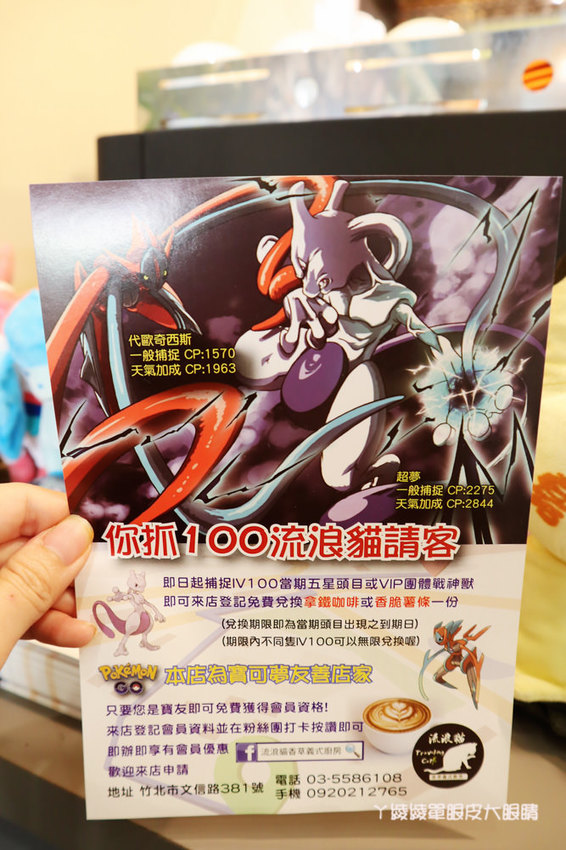 竹北平價美食餐廳推薦流浪貓香草義式廚房,竹北新開幕寶可夢主題美食餐廳!貓奴們快來找主子