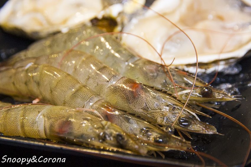 【公館美食】吃到飽餐廳／瓦崎燒烤火鍋～龍蝦、生蠔、和牛、伊比利梅花豬，還有啤酒免費暢飲