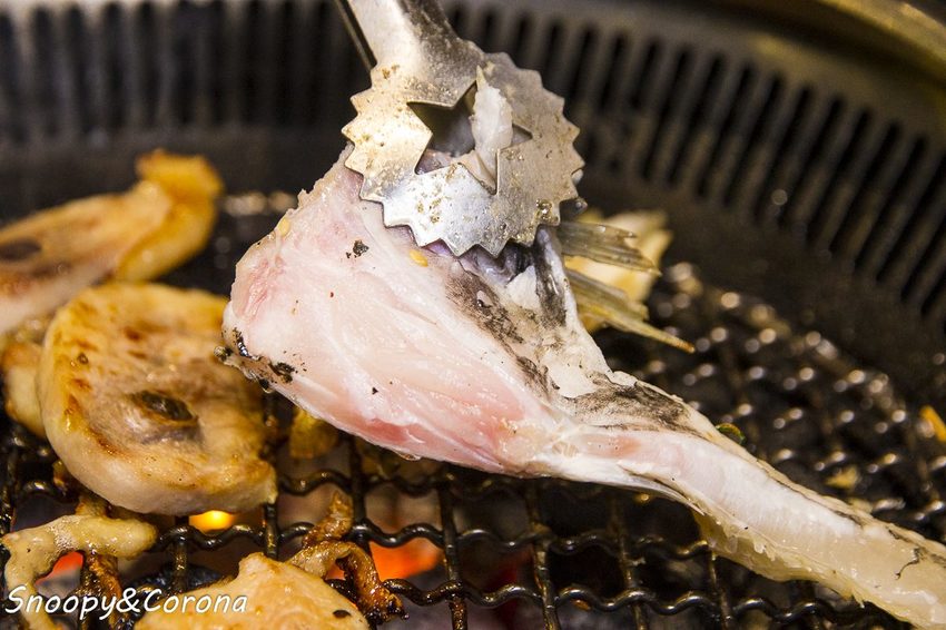 【公館美食】吃到飽餐廳／瓦崎燒烤火鍋～龍蝦、生蠔、和牛、伊比利梅花豬，還有啤酒免費暢飲