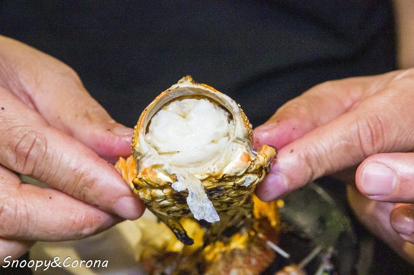 【公館美食】吃到飽餐廳／瓦崎燒烤火鍋～龍蝦、生蠔、和牛、伊比利梅花豬，還有啤酒免費暢飲