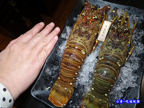 青龍龍蝦-瓦崎燒烤火鍋公館店 (6).jpg