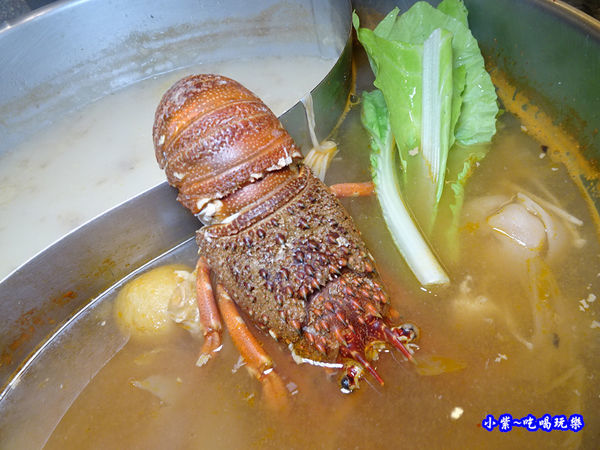 青龍龍蝦-瓦崎燒烤火鍋公館店 (1).jpg