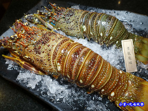 青龍龍蝦-瓦崎燒烤火鍋公館店 (5).jpg
