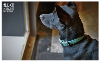 addictrestraurant癮餐廳-12