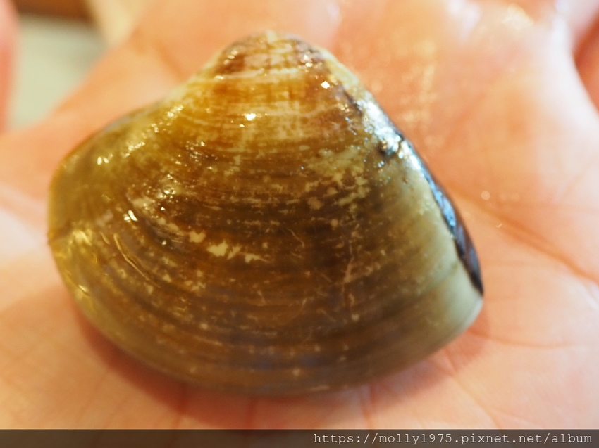 2019-08-31 15.34.54.jpg