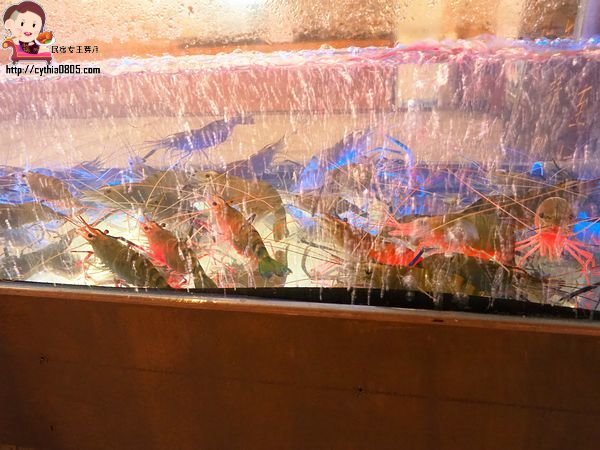 桃園八德美食-伍陽城市原創農場-超肥美泰國流水蝦吃到飽,還可以放生小孩消耗體力 @民宿女王芽月-美食.旅遊.全台趴趴走