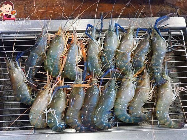 桃園八德美食-伍陽城市原創農場-超肥美泰國流水蝦吃到飽,還可以放生小孩消耗體力 @民宿女王芽月-美食.旅遊.全台趴趴走