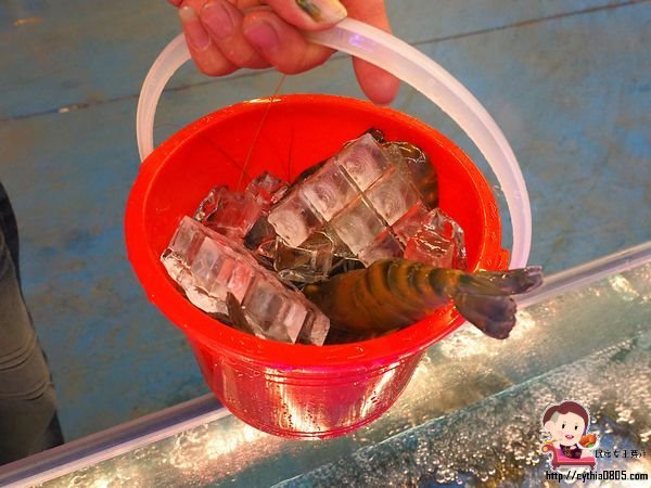 桃園八德美食-伍陽城市原創農場-超肥美泰國流水蝦吃到飽,還可以放生小孩消耗體力 @民宿女王芽月-美食.旅遊.全台趴趴走