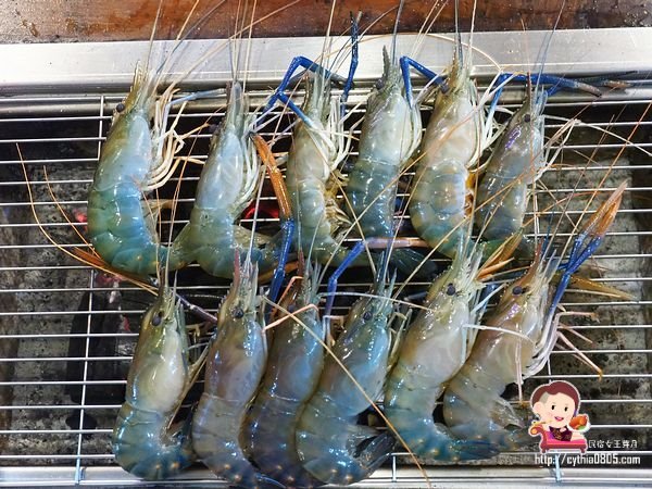 桃園八德美食-伍陽城市原創農場-超肥美泰國流水蝦吃到飽,還可以放生小孩消耗體力 @民宿女王芽月-美食.旅遊.全台趴趴走