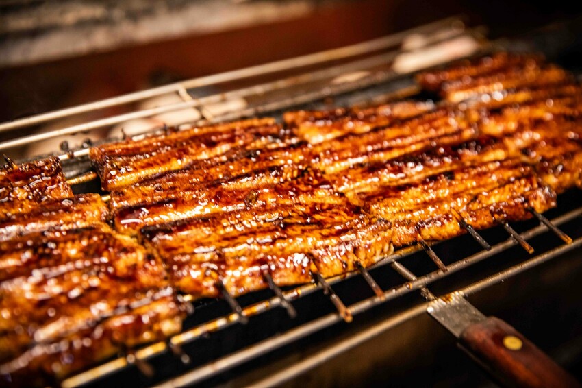 南港鰻魚飯霸主!板前屋炭烤鰻魚飯,無刺脆皮白燒鰻魚飯必吃。